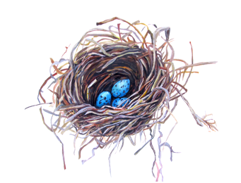 Grackle Nest