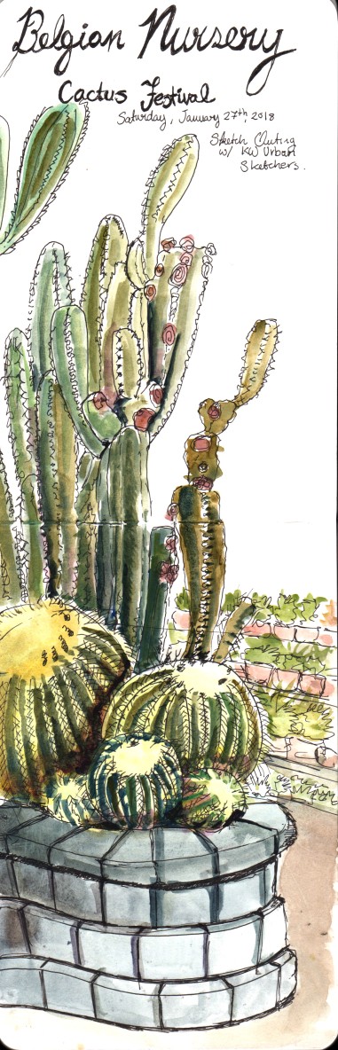 Belgian Nursery Cactus Festival Urban Sketch